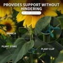 Garden Plant Clips